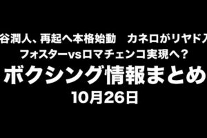 中谷潤人、カネロ、フォスターvsロマチェンコのボクシング情報まとめ。2026年10月26日。BOX IS ARTロゴ入り