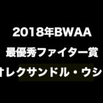 2018年BWAAファイター・オブ・ザ・イヤー賞【オレクサンドル・ウシク】が受賞