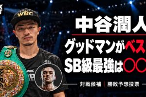 中谷潤人、グッドマンがベスト？SB級最強は○○○。BOX IS ARTロゴ入り。