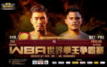 【結果】木村翔vsサルダールWBO世界フライ級タイトルマッチ　