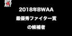 2018年BWAAファイター・オブ・ザ・イヤー賞の候補者【ロマチェンコ・ウシク・マイキー・ジョシュア・クロフォード】