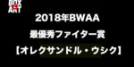 2018年BWAAファイター・オブ・ザ・イヤー賞【オレクサンドル・ウシク】が受賞